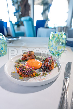Tides octpus-8219