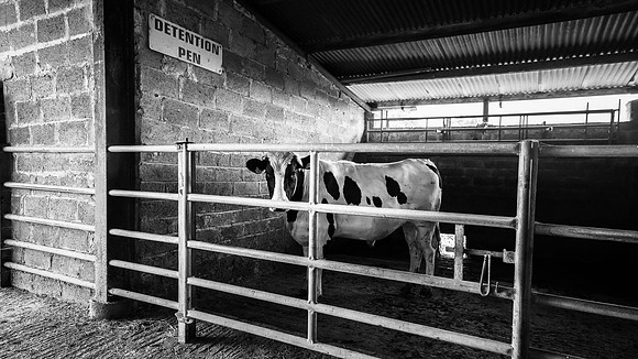PortuMart_067